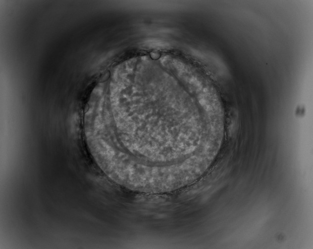 X0000103901397200810311359