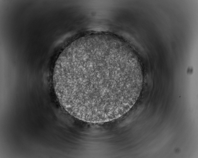 X0000103901398200810311359