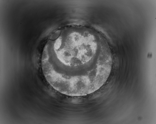 X0000103901399200810311359