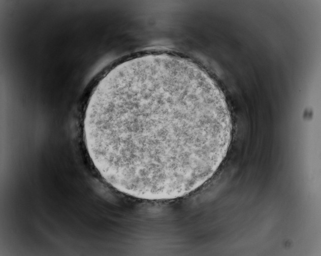 X0000103901400200810311359