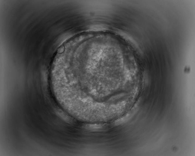 X0000103901401200810311359