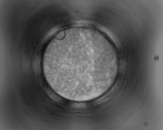 X0000103901403200810311359