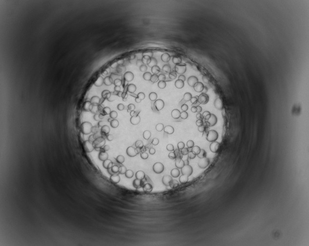 X0000103901404200810311359