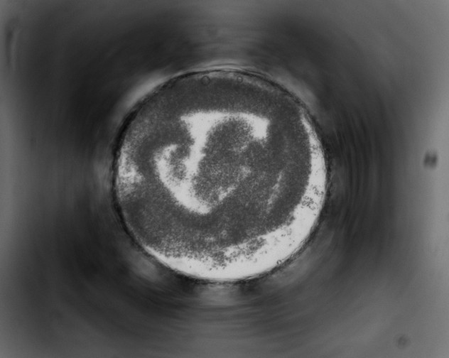 X0000103901406200810311359