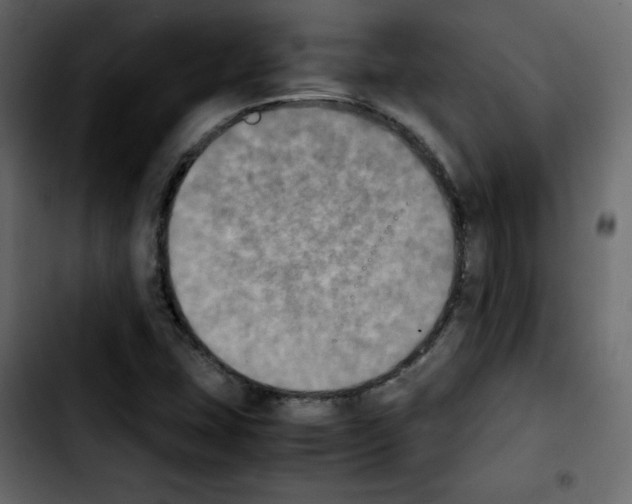 X0000103901407200810311359