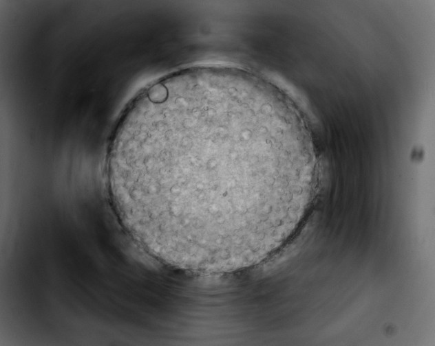 X0000103901408200810311359