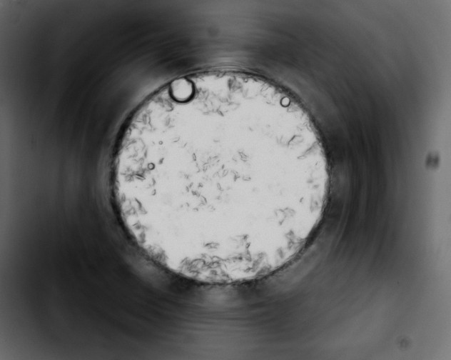 X0000103901410200810311359