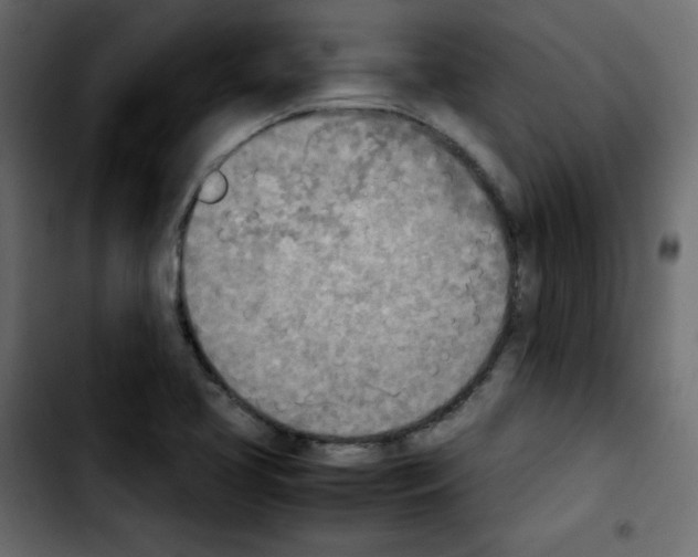 X0000103901413200810311359