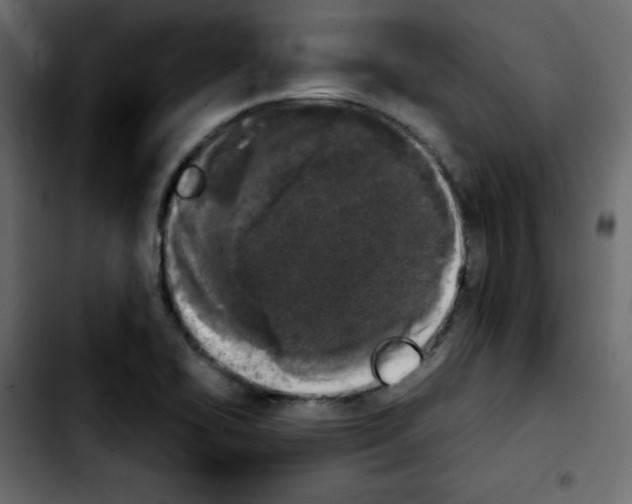 X0000103901414200810311359