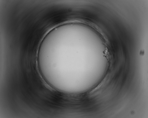 X0000103901417200810311359