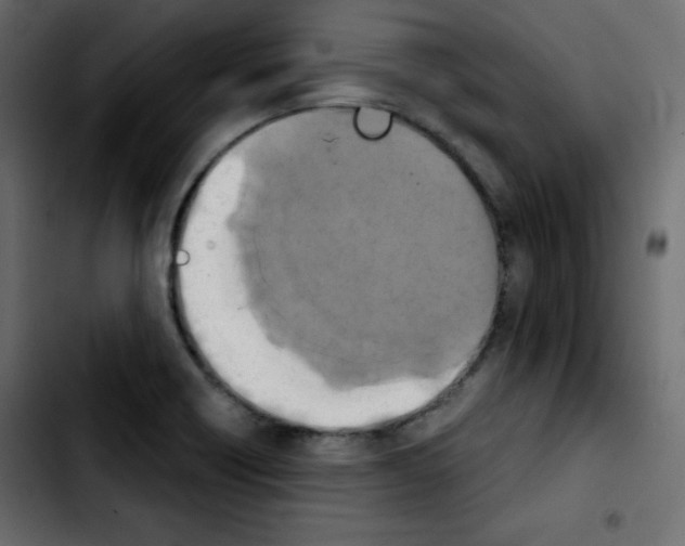 X0000103901418200810311359