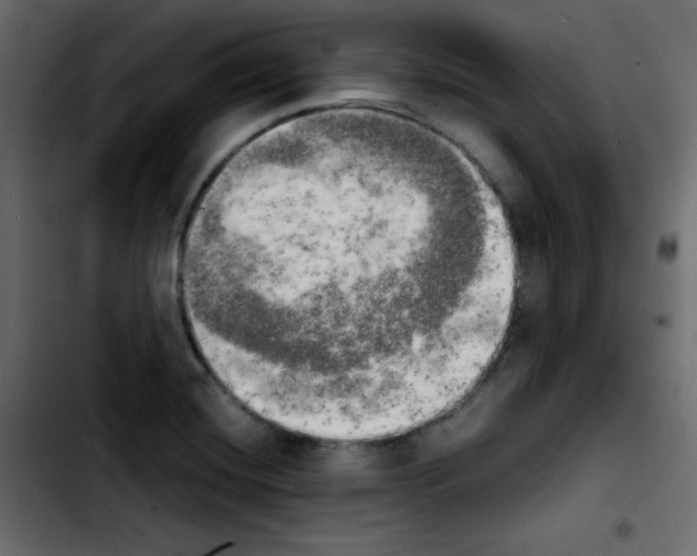 X0000103901420200810311359