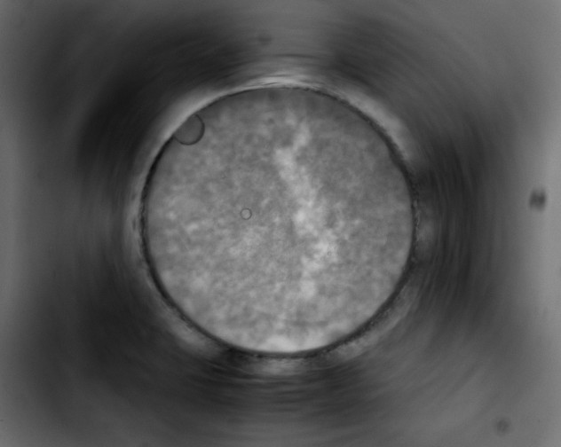 X0000103901423200810311359