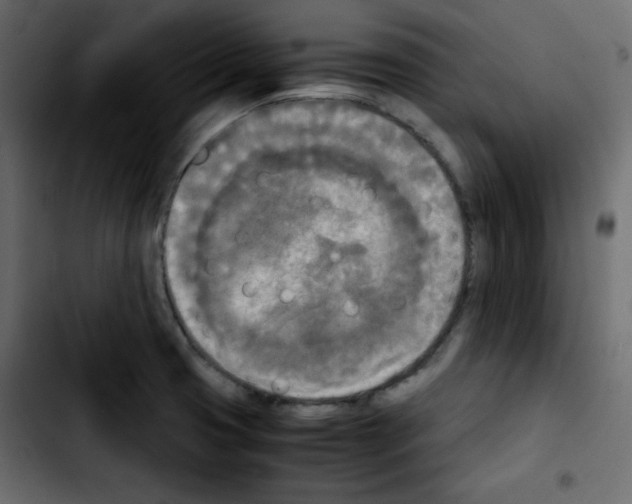 X0000103901425200810311359