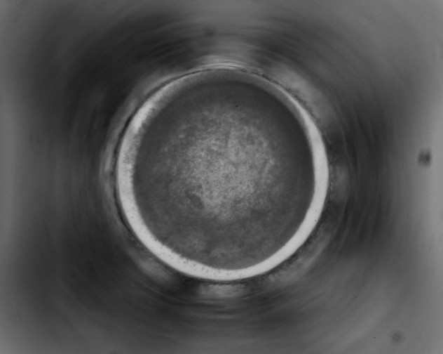 X0000103901427200810311359