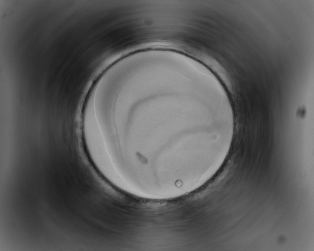 X0000103901428200810311359