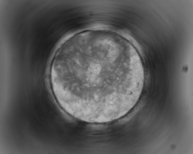 X0000103901429200810311359