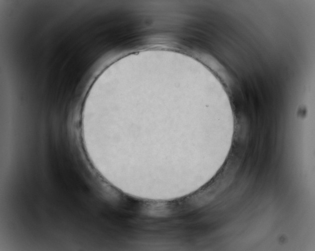 X0000103901431200810311359