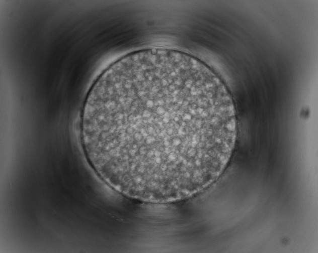 X0000103901432200810311359