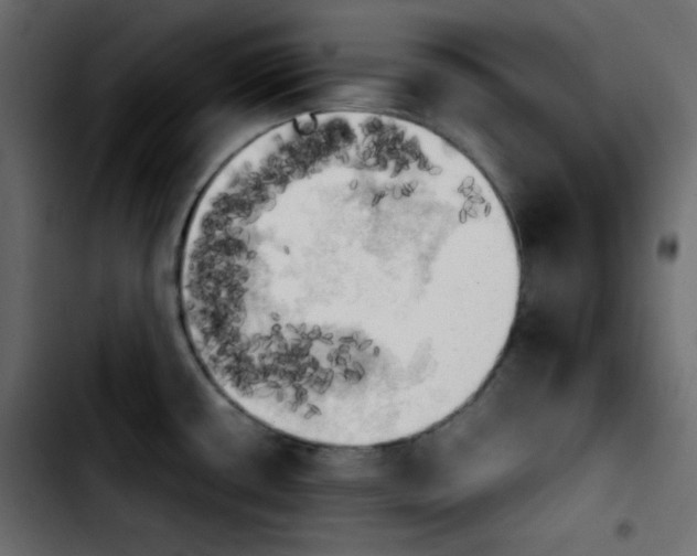 X0000103901434200810311359