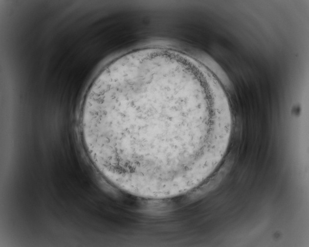 X0000103901436200810311359