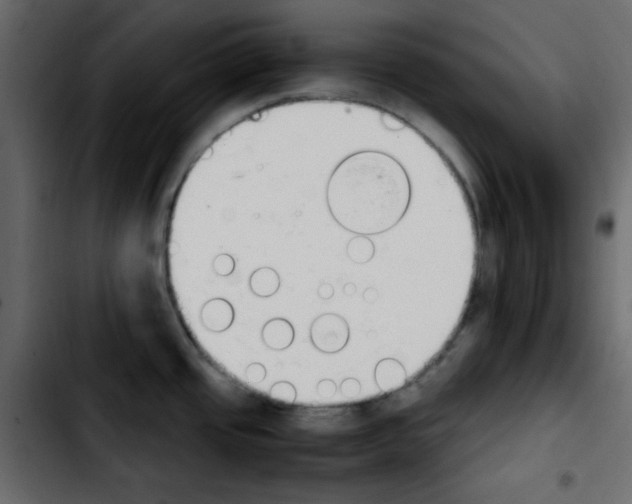 X0000103901437200810311359