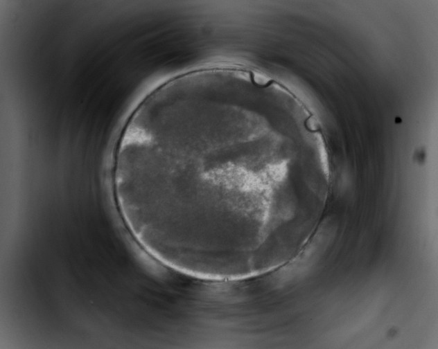 X0000103901438200810311359