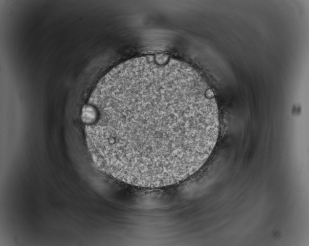 X0000103901441200810311359