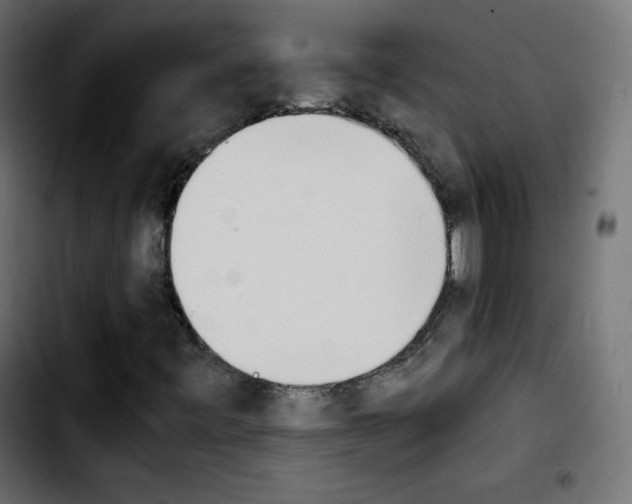 X0000103901443200810311359