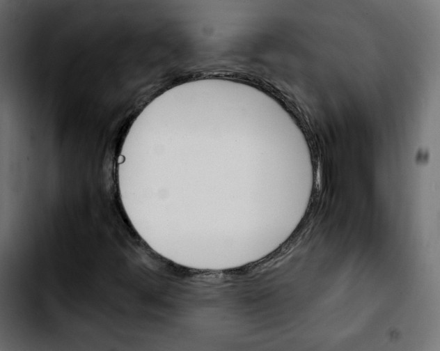 X0000103901444200810311359