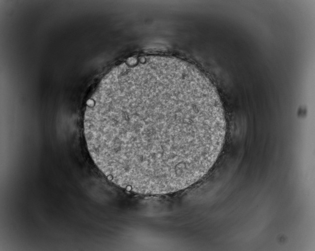 X0000103901445200810311359