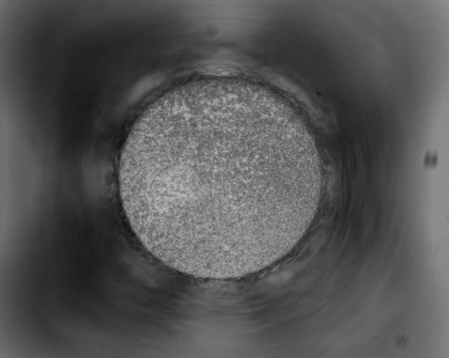 X0000103901446200810311359