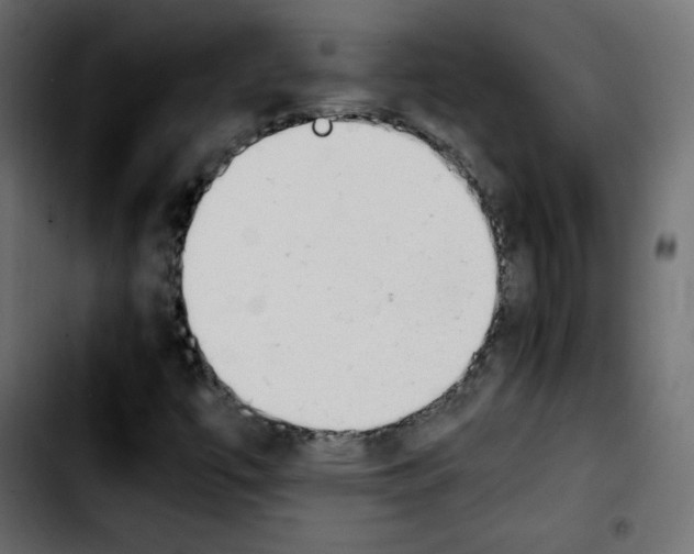 X0000103901447200810311359