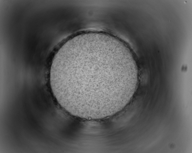 X0000103901448200810311359