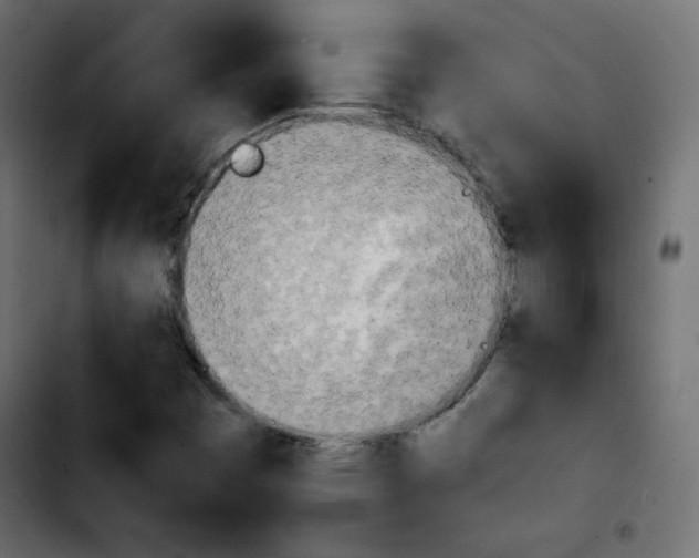 X0000103901449200810311359