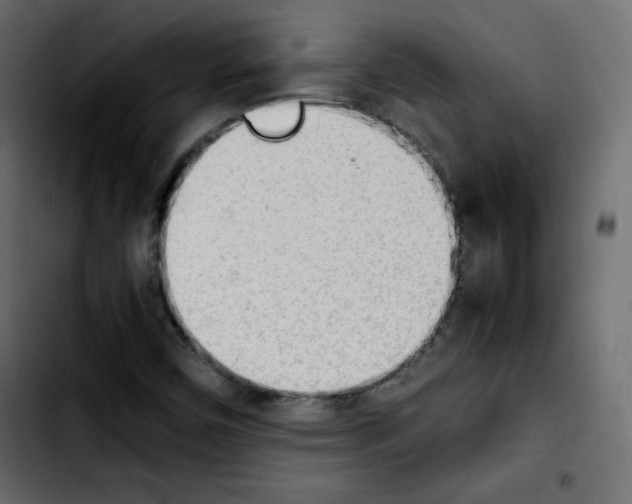 X0000103901450200810311359