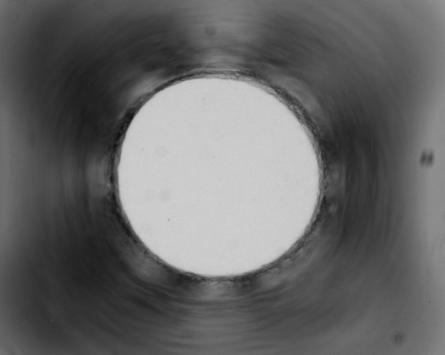 X0000103901451200810311359