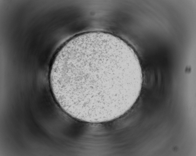 X0000103901452200810311359