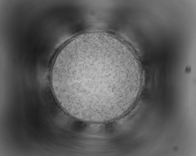 X0000103901453200810311359