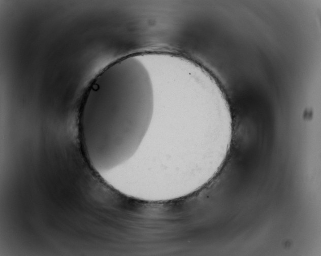 X0000103901455200810311359