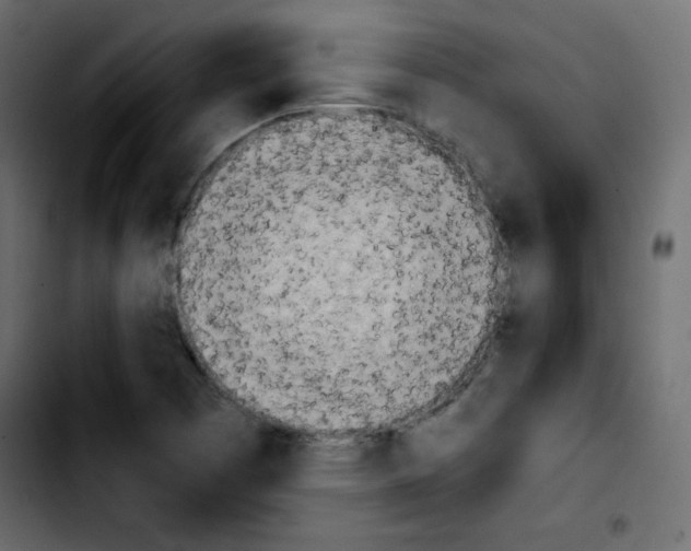 X0000103901457200810311359