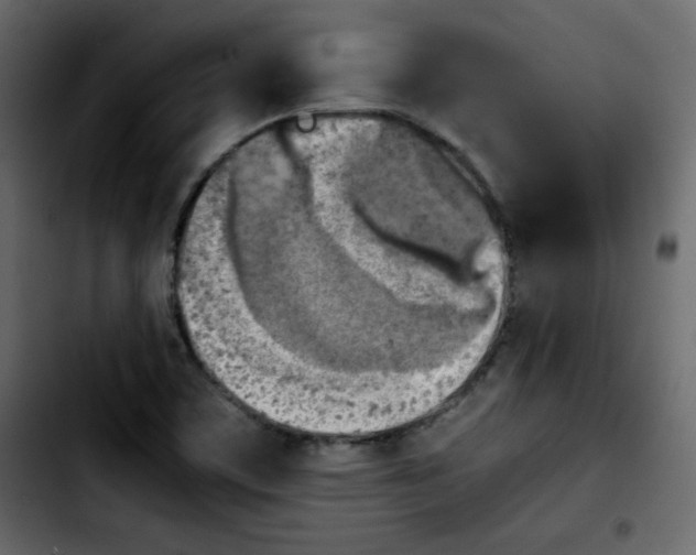 X0000103901459200810311358