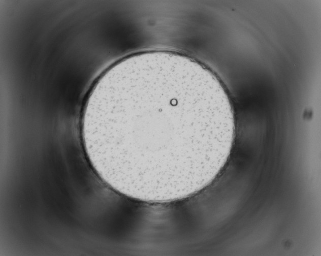 X0000103901460200810311358