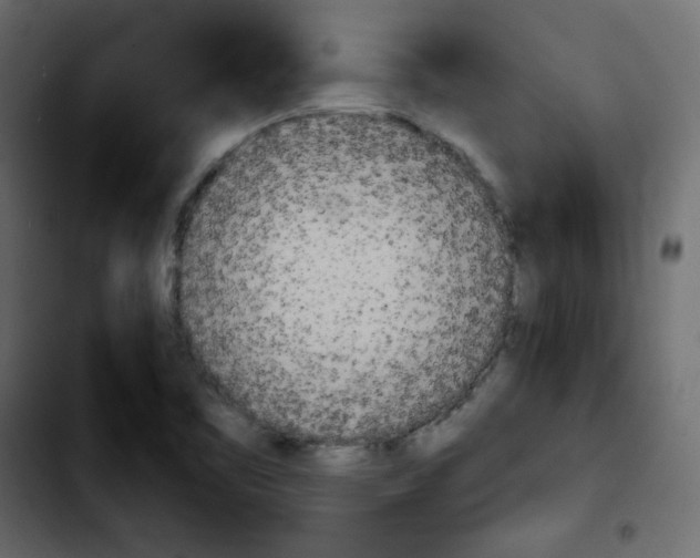 X0000103901461200810311358