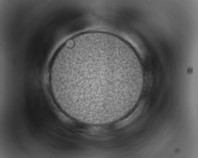 X0000103901462200810311358