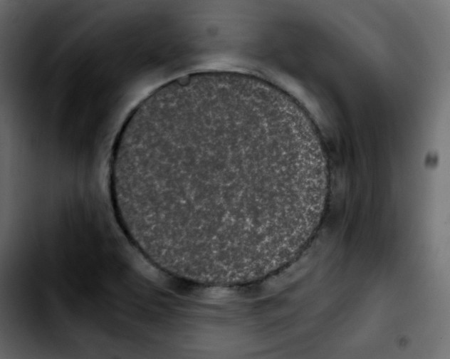 X0000103901463200810311358