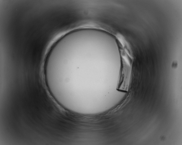 X0000103901464200810311358