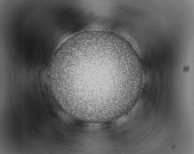 X0000103901465200810311358