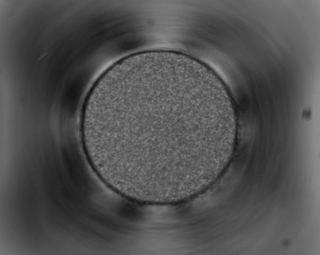 X0000103901468200810311358