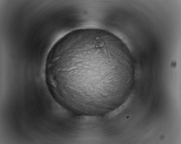 X0000103901469200810311358